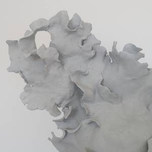 AERIS detail