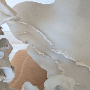 Alma detail