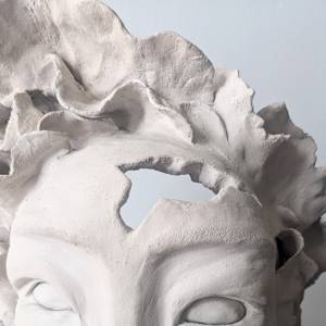 AMANI detail