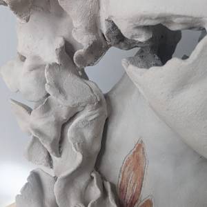 AMANI detail