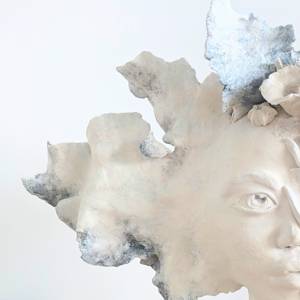 CALYPSO detail