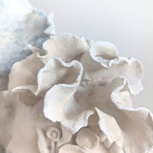CALYPSO detail