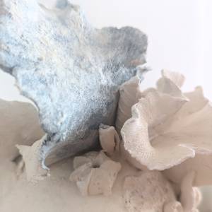 CALYPSO detail