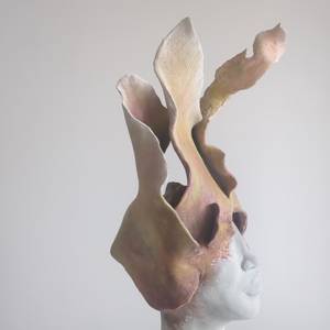 Éclosion detail