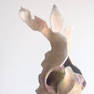Éclosion detail