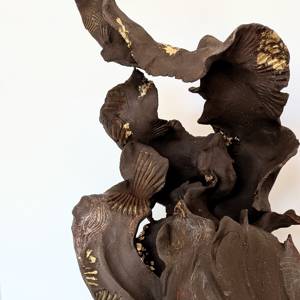 Émergence detail
