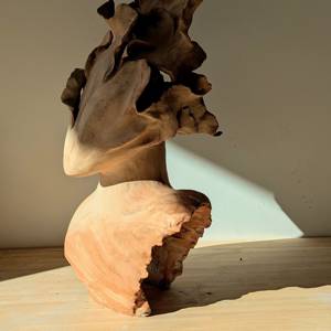 Galactée detail