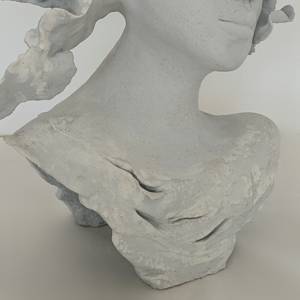 LIV detail