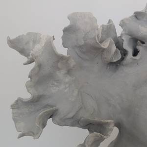 LIV detail