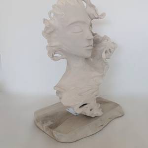 MEGARA detail